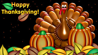 Thanksgiving turkey pumpkins leaves black - free holidays wallpaper