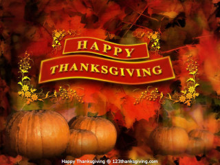 Thanksgiving card pumpkins fall background - free holidays wallpaper