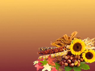 Fall flowers leaves tabletop brown - fall vibrancy free wallpaper for desktop