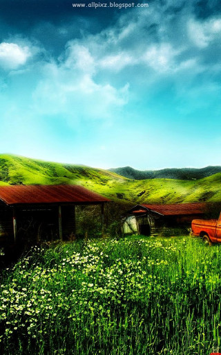 Red truck green grass flower - green grass free wallpaper for mobile