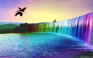 Bird flying waterfall rainbow background 3 - a bird free wallpaper for desktop