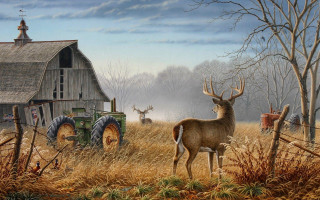 Deer tractor field barn foreground - a barn in the background free wallpaper