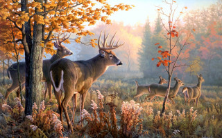 Deer forest trees flowers background - realistic painting free wallpaper