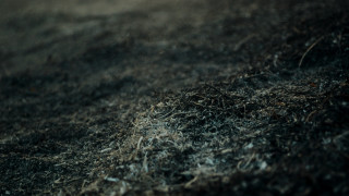 Dirt pile closeup blurry background - carol bove free wallpaper