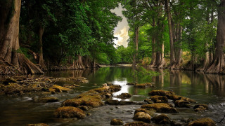 River rocks trees water cloudy - rock and trees free wallpaper