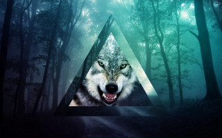 Wolf forest triangle background light - the middle of a forest free wallpaper