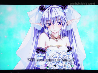 Woman wedding dress tv screen - a tv screen free wallpaper