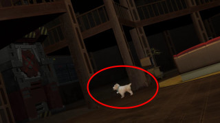 Dog walking dark room red - a red circle free wallpaper