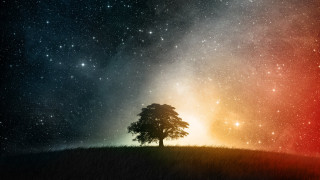 Lone tree hill night sky 5 - the horizon free wallpaper