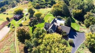 Large house trees grass forest - the middle of a forest area free wallpaper