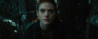 Woman blue eyes forest serious - a forest free wallpaper