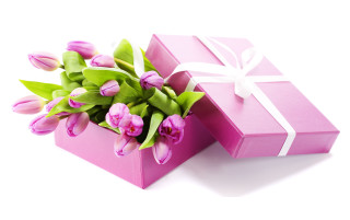 Pink box white ribbon flower - cloisonnism free wallpaper