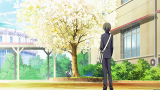 Man tree courtyard building autumn - kyoto animation free wallpaper