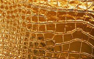 Gold crocodile skin texture close - gutai group free wallpaper