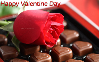 Rose chocolates valentines day card - a valentines day card free wallpaper