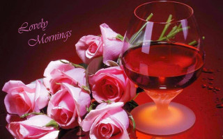 Wine roses table red background - a good morning free wallpaper