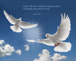 White doves flying gothic angel - elaine duillo free wallpaper
