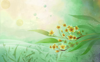 Flowers grass bubbles sky background - the background and a sky background free wallpaper