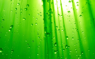 Green water drops curtain bubble - art green free wallpaper