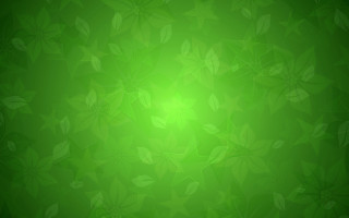 Green background leaves light green - green background free wallpaper for desktop