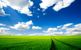 Green field sky clouds background - a dirt road free wallpaper for desktop