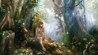 Woman sitting log forest cat - in a forest free wallpaper for desktop