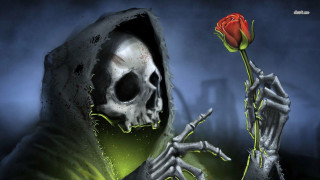 Skeleton holding rose dark background - its hand free wallpaper