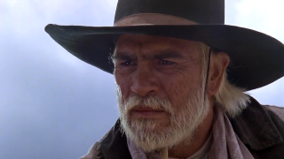 Old man black hat beard - a long white beard free wallpaper