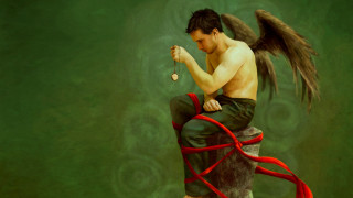 Man sitting post bird flying - bastien lecouffedeharme free wallpaper for desktop