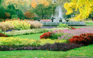 Cherryl fountain autumn garden flowers - free flowers wallpaper for desktop