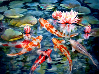 Koi fish lily pads watercolor - carol sutton free wallpaper for desktop