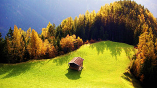 Small house field trees mountains - a few yellow leaf free wallpaper