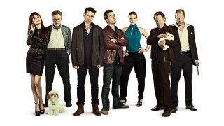 Group people dog man holding - andrew bell free wallpaper