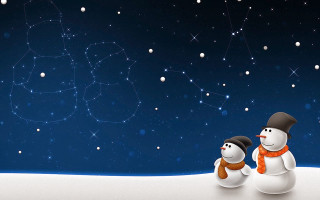 Snowman snowdog standing snow night - the snow free wallpaper
