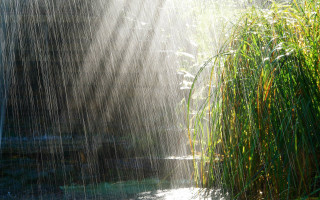 Sunbeam bamboo pond water bench - a bench in the foreground free wallpaper