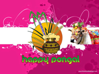 Happy pongal cow vase flowers - folk art free wallpaper