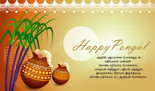 Happy pongal two vases plant - bapu free wallpaper for desktop