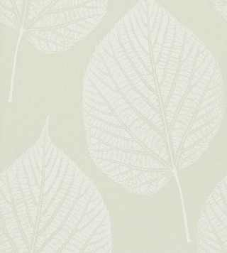 Leaf pattern white background light - green background free wallpaper