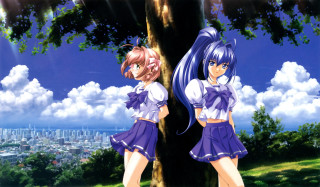 Anime girls tree field city - a tree in a field free wallpaper