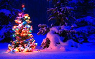 Christmas tree snow blue background - free holidays wallpaper for desktop