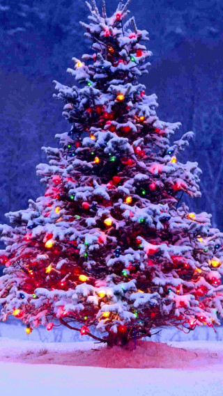 Christmas tree lights snow evening - free christmas wallpaper for mobile