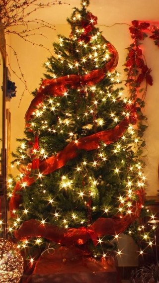 Christmas tree red ribbon lights - free christmas wallpaper for mobile