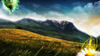 Person holding flower field mountains - a hot air balloon free wallpaper for desktop