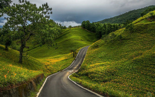 Winding road lush green hillside 2 - both side of it free wallpaper