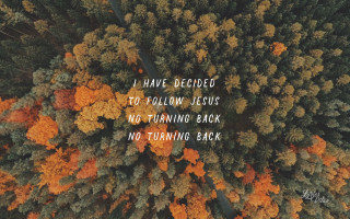 Forest quote follow jesus no - jesus free wallpaper