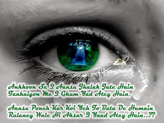 Green eye white background poem - emotional free wallpaper for desktop