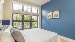 Bedroom window trees blue wall - a blue wall free wallpaper for desktop