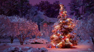 Christmas tree lit snowy yard 2 - a christmas tree free wallpaper for desktop