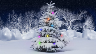 Christmas tree snow lights falling - covered ground free wallpaper for desktop