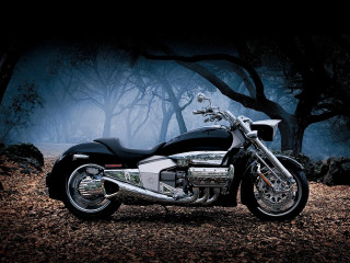Motorcycle parked wooded area trees - area free wallpaper